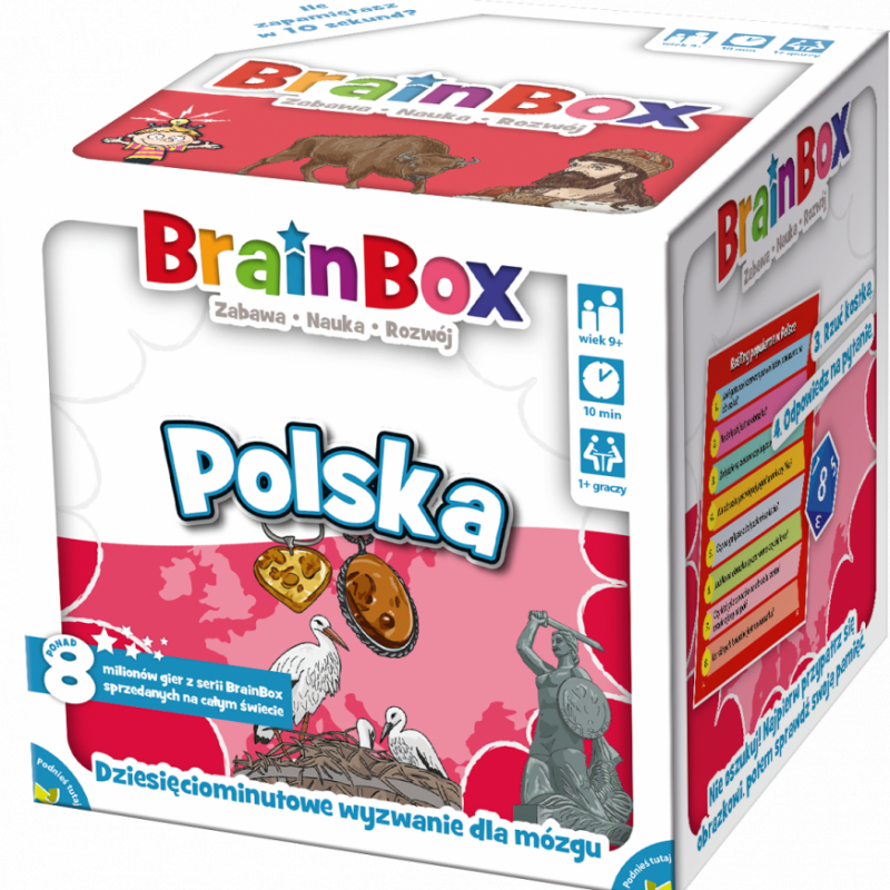 Grafika 1: BrainBox - Polska