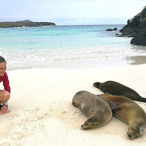 Galapagos, Andy, Karaiby i gorączka - sześć tygodni w Ameryce Południowej