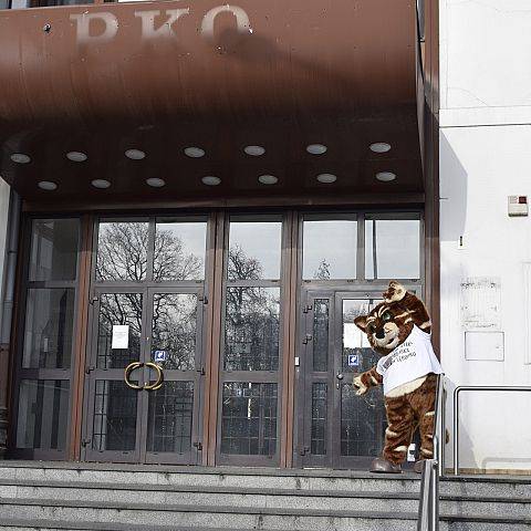 Krótka ankieta