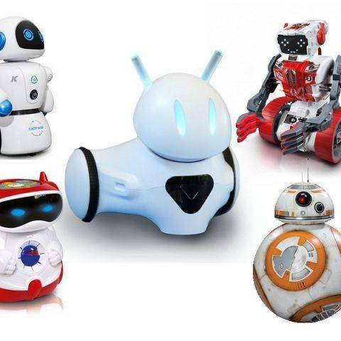 Budowanie i projektowanie robotów