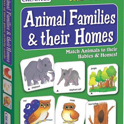 Animal Families and Their Homes