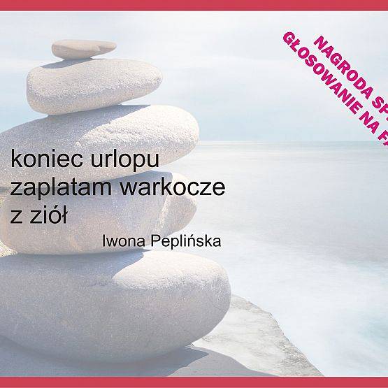 Laureaci Gry Literackiej  „Złap chwilę w haiku” grafika