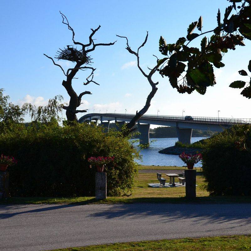 Grafika 1: Szwecja w pigułce