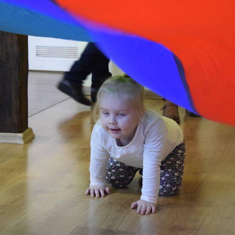 Grafika 1: 10 lat Poranków w bibliotece