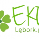 Grafika 1: Eko Lębork