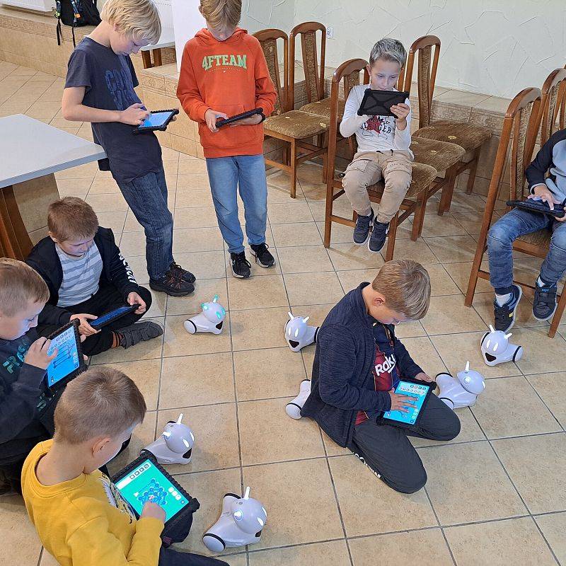 Grafika 1: Programowanie i konstruowanie robotów