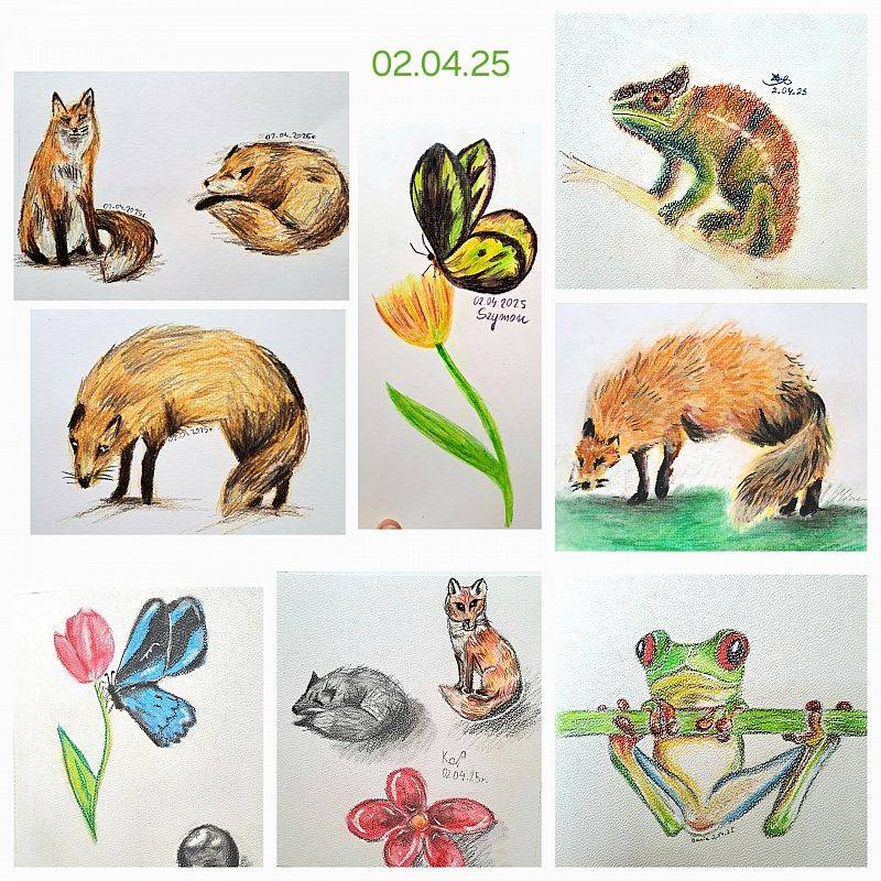 Grafika : Kreatywny Kurs Rysunku Mirosławy: dorośli i młodzież