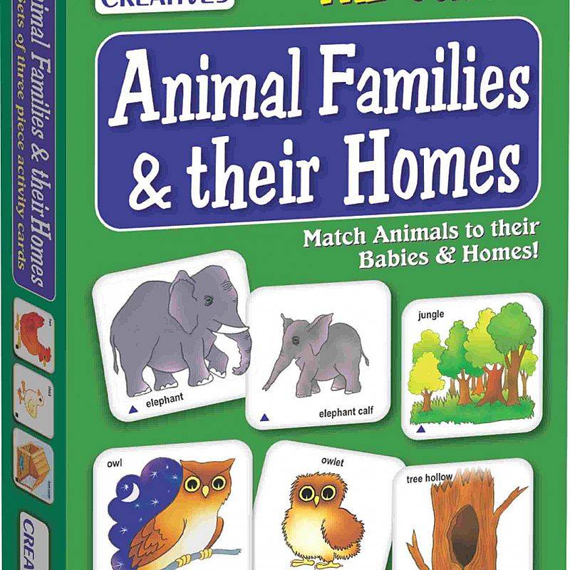 Grafika 1: Animal Families and Their Homes
