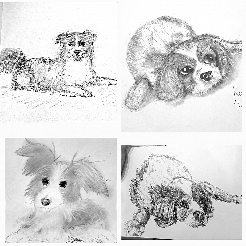 Grafika : Kreatywny Kurs Rysunku Mirosławy: dzieci 9+