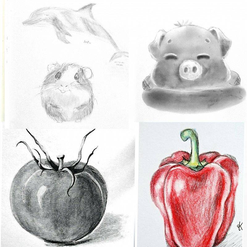 Grafika : Kreatywny Kurs Rysunku Mirosławy: dzieci 9+