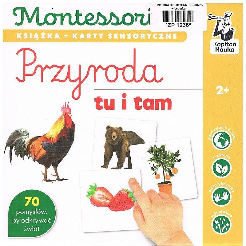 Grafika 1: Montessori przyroda