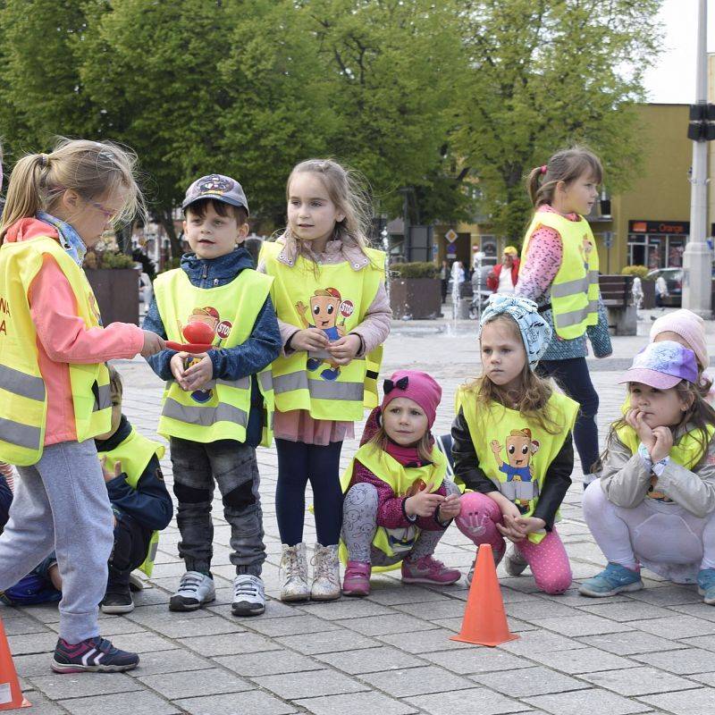 Grafika 1: Kolorowe Podwórka